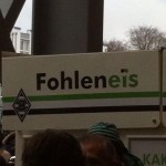 Fohleneis